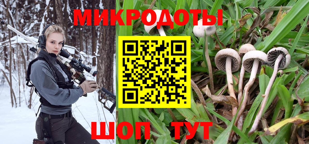 Псилоцибиновые грибы GOLDEN TEACHER Белгород